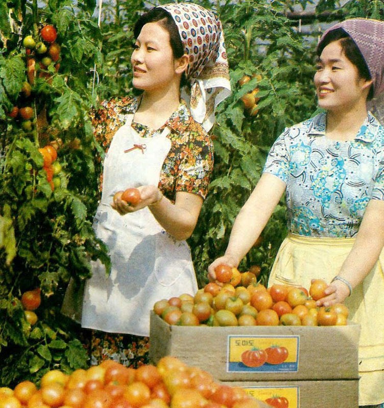 Ngam nhan sac phu nu Trieu Tien cuoi thap nien 1970-Hinh-3
